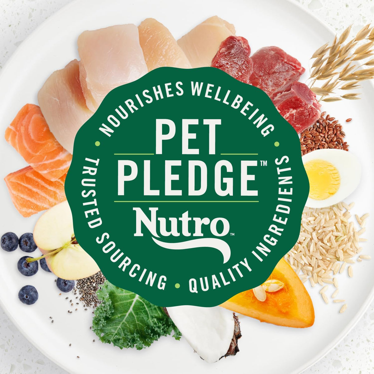 Ultra High Protein Senior Dry Dog Food, Chicken, Lamb & Salmon, 13 lb