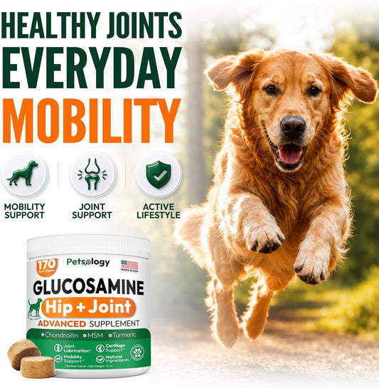 Glucosamine for Dogs, 170 Chews, Hip and Joint Supplement for Dogs