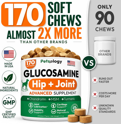 Glucosamine for Dogs, 170 Chews, Hip and Joint Supplement for Dogs