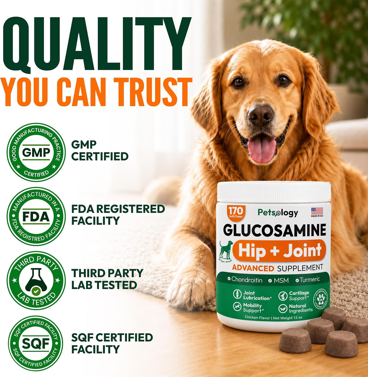 Glucosamine for Dogs, 170 Chews, Hip and Joint Supplement for Dogs