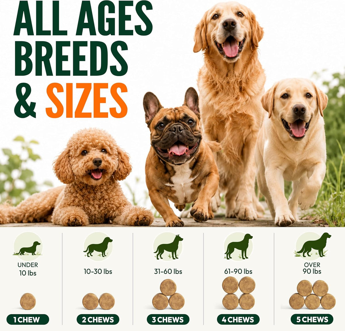 Glucosamine for Dogs, 170 Chews, Hip and Joint Supplement for Dogs