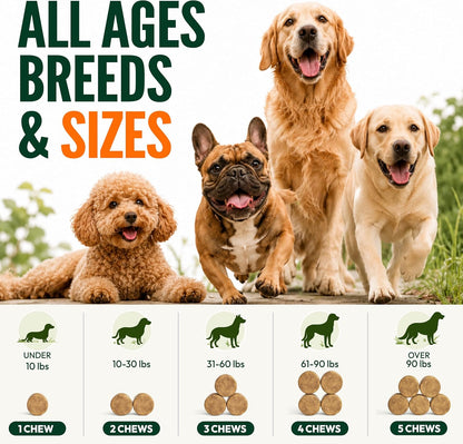 Glucosamine for Dogs, 170 Chews, Hip and Joint Supplement for Dogs