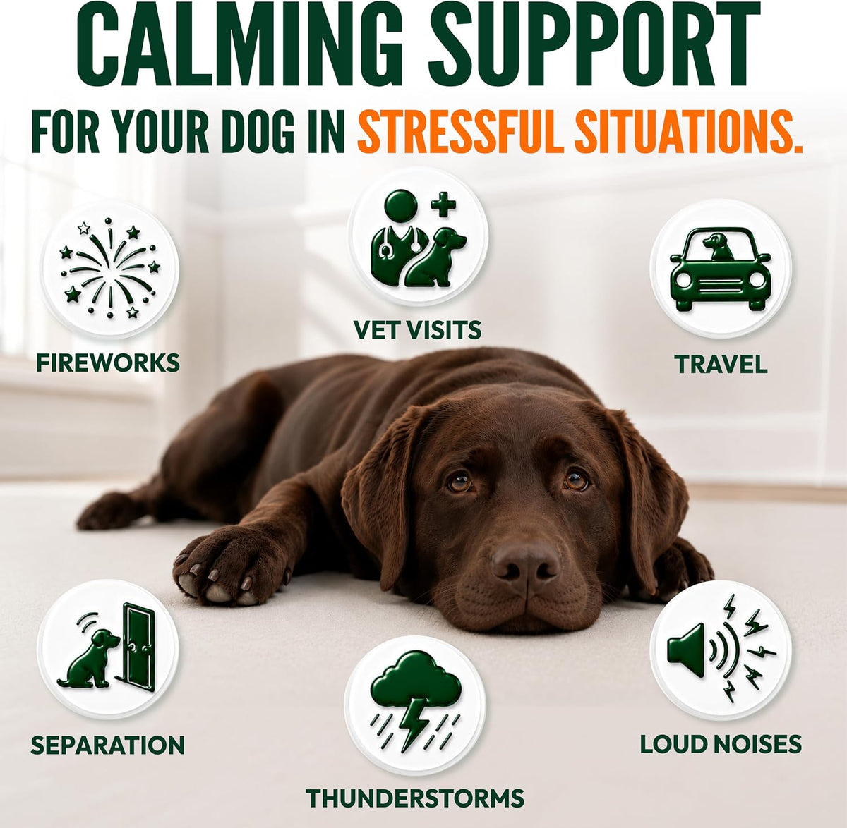 Glucosamine for Dogs, 170 Chews, Hip and Joint Supplement for Dogs