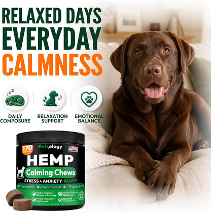 Glucosamine for Dogs, 170 Chews, Hip and Joint Supplement for Dogs