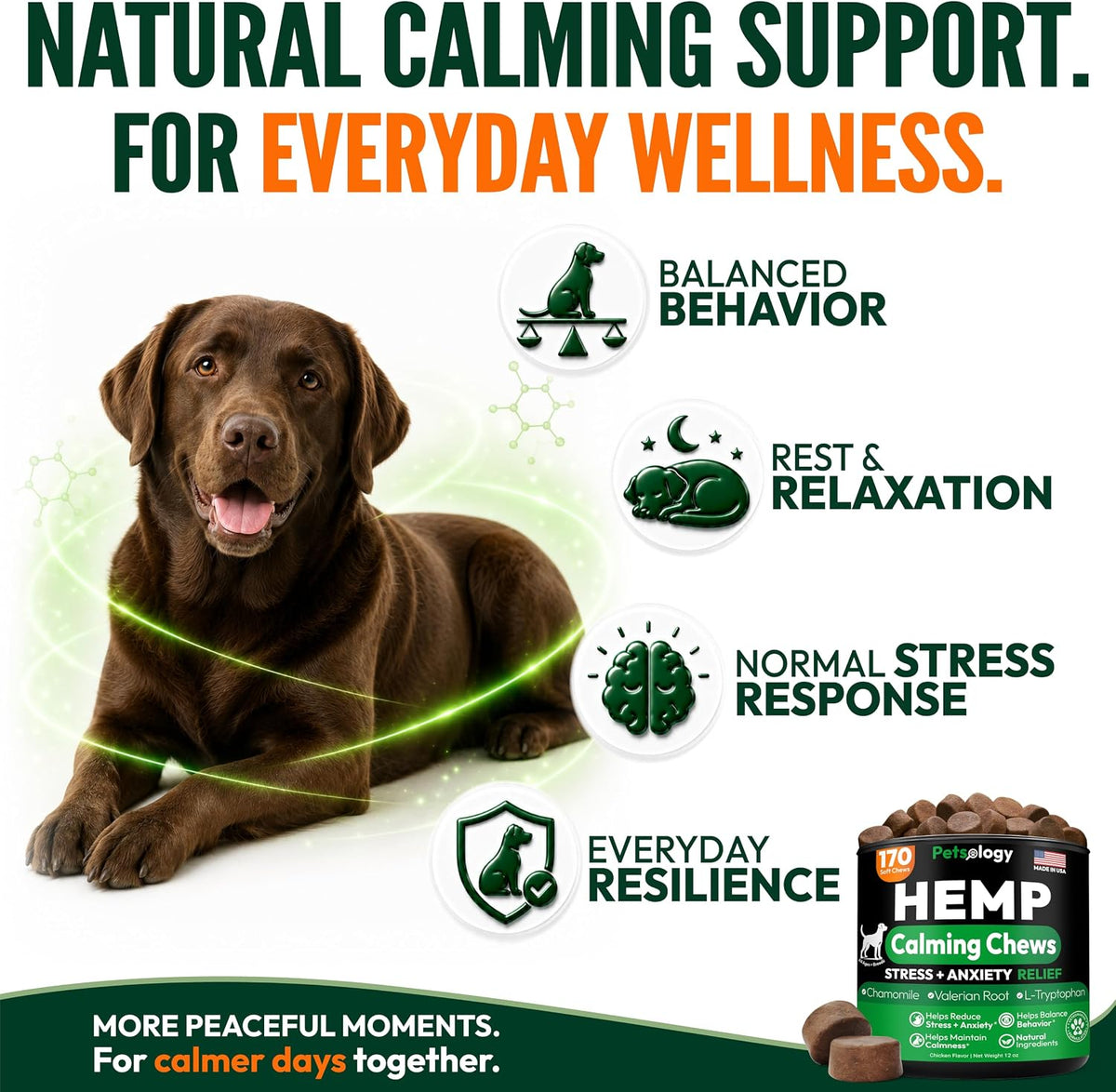 Glucosamine for Dogs, 170 Chews, Hip and Joint Supplement for Dogs