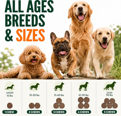 Glucosamine for Dogs, 170 Chews, Hip and Joint Supplement for Dogs