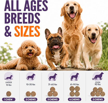 Glucosamine for Dogs, 170 Chews, Hip and Joint Supplement for Dogs