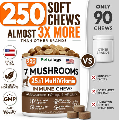 Glucosamine for Dogs, 170 Chews, Hip and Joint Supplement for Dogs