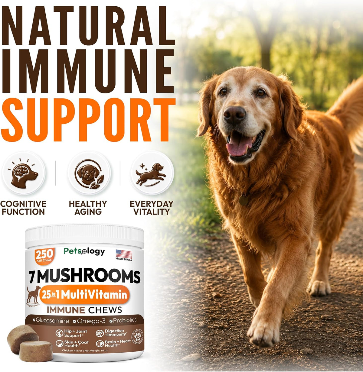 Glucosamine for Dogs, 170 Chews, Hip and Joint Supplement for Dogs