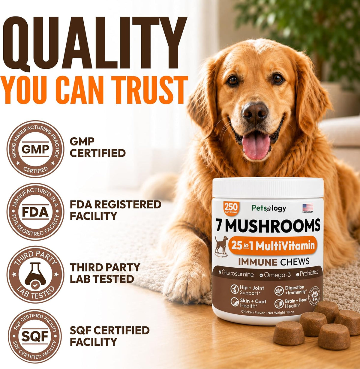 Glucosamine for Dogs, 170 Chews, Hip and Joint Supplement for Dogs