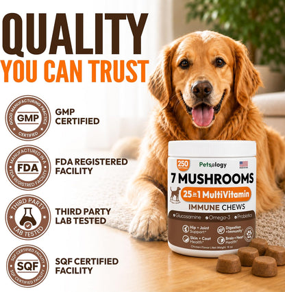Glucosamine for Dogs, 170 Chews, Hip and Joint Supplement for Dogs