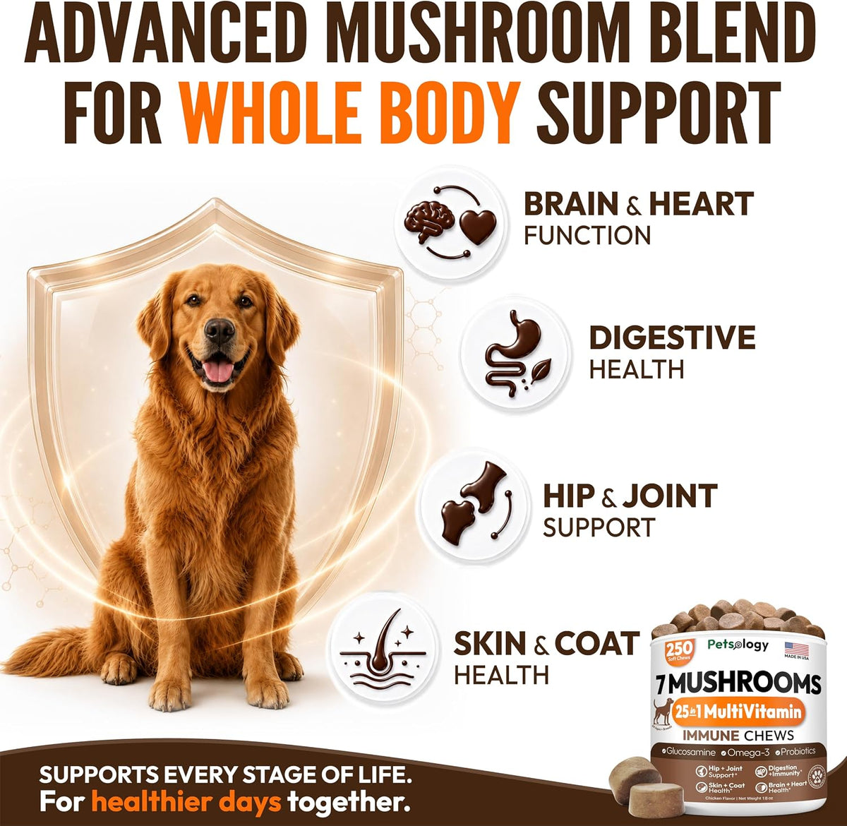 Glucosamine for Dogs, 170 Chews, Hip and Joint Supplement for Dogs