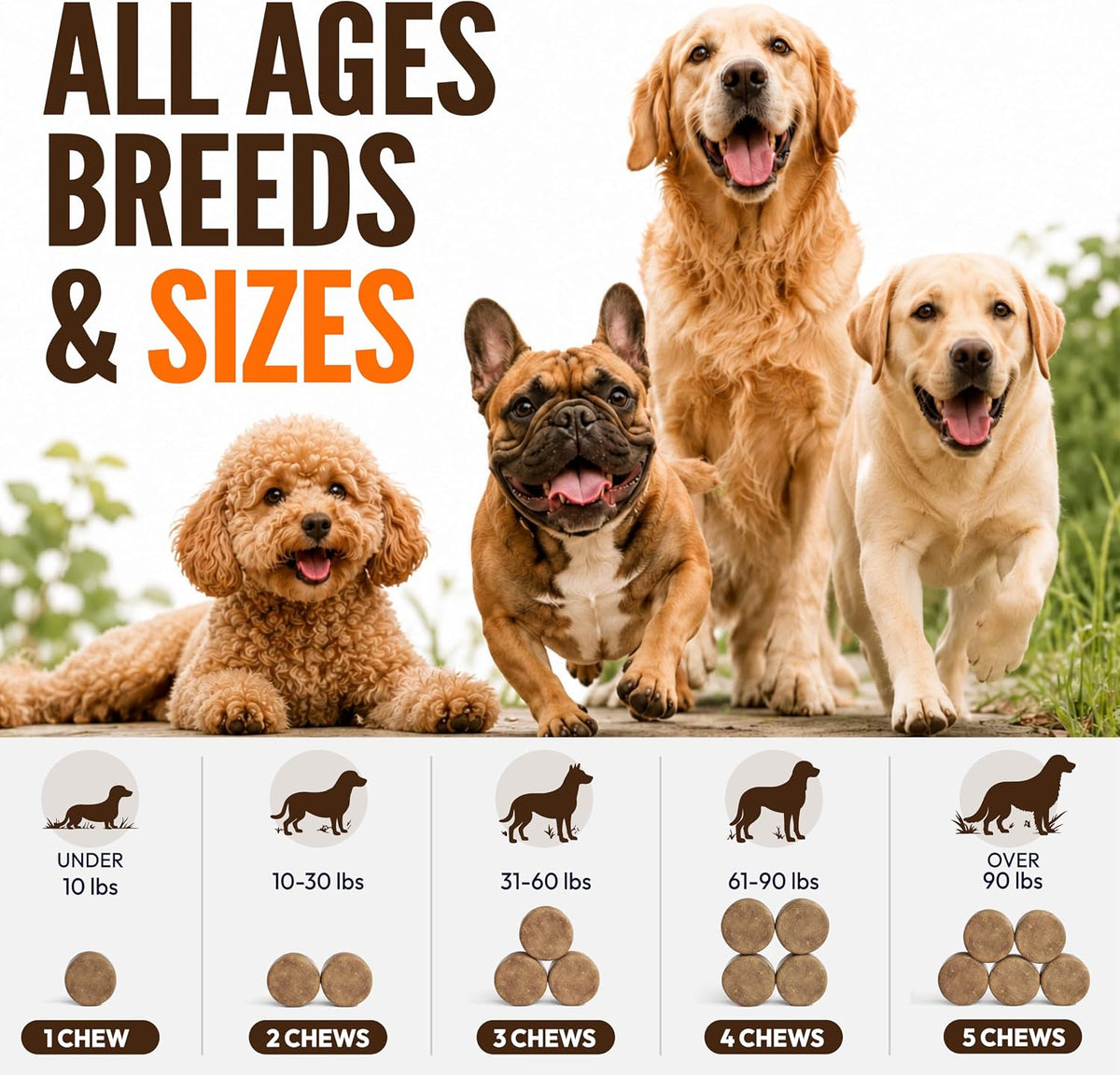 Glucosamine for Dogs, 170 Chews, Hip and Joint Supplement for Dogs