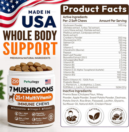 Glucosamine for Dogs, 170 Chews, Hip and Joint Supplement for Dogs