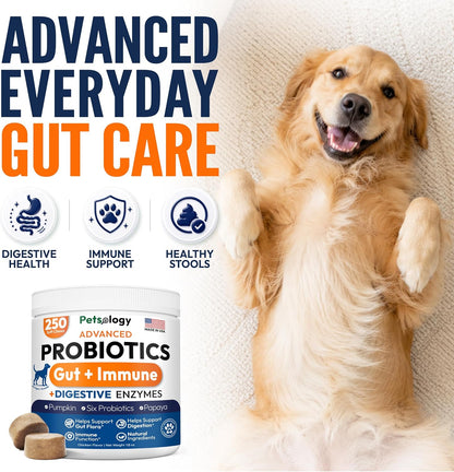 Glucosamine for Dogs, 170 Chews, Hip and Joint Supplement for Dogs