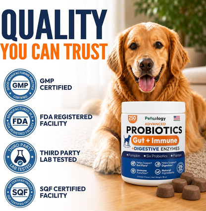 Glucosamine for Dogs, 170 Chews, Hip and Joint Supplement for Dogs