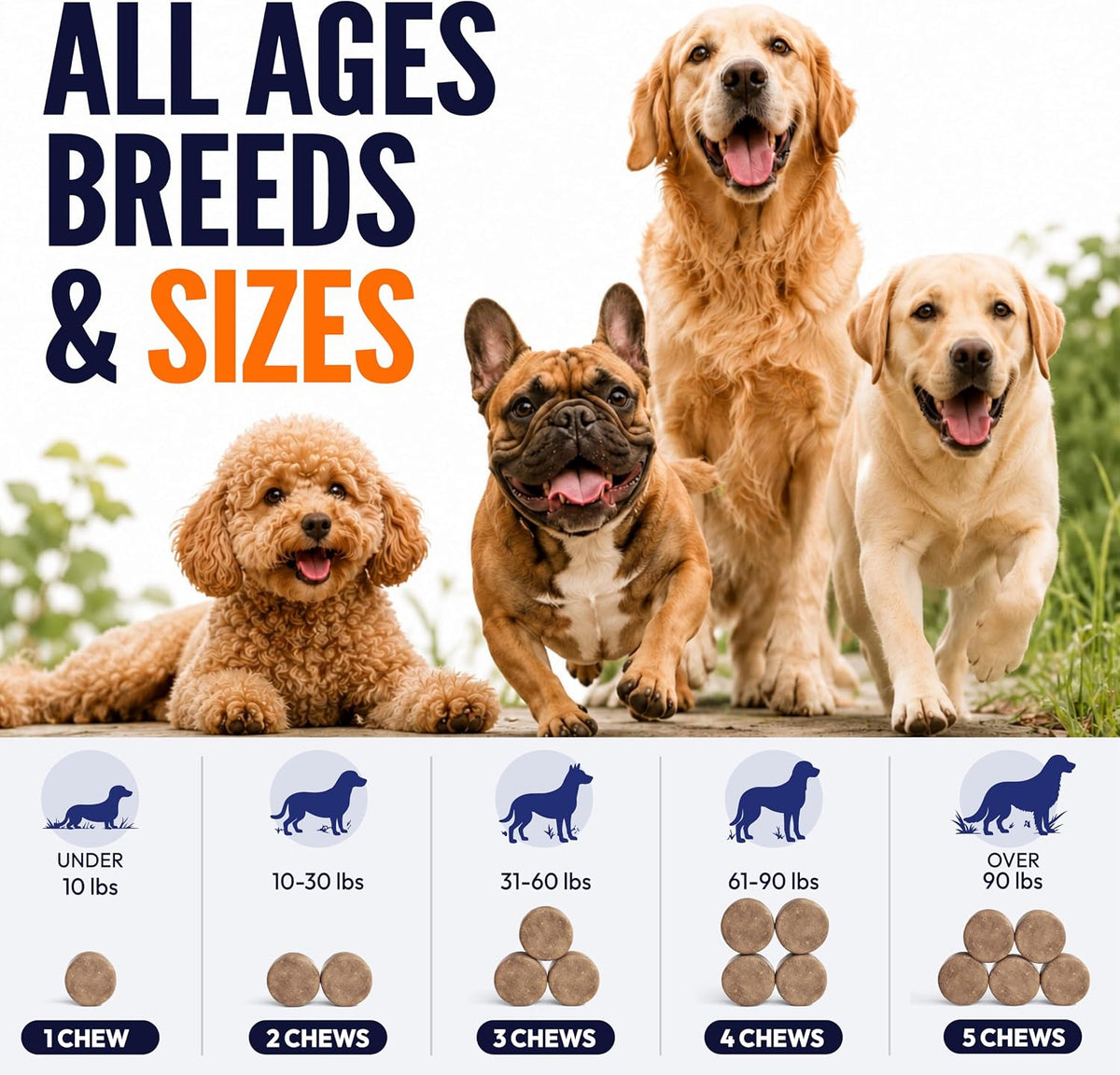 Glucosamine for Dogs, 170 Chews, Hip and Joint Supplement for Dogs