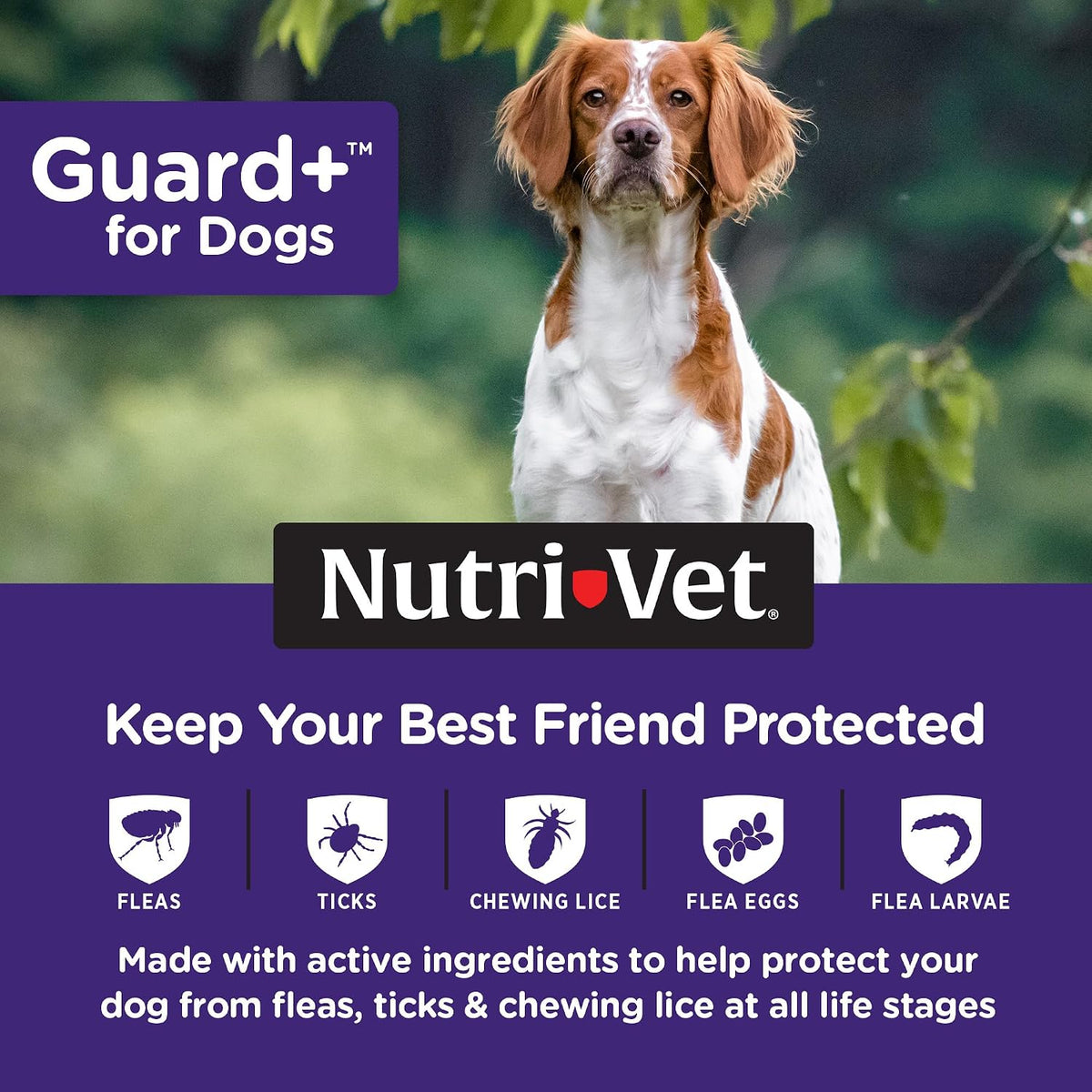 Guard+ Spot On for Dogs 5-22 lbs, Flea Treatment, 3 Doses
