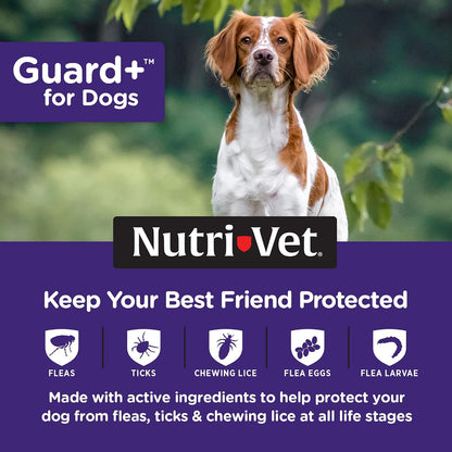 Guard+ Spot On for Dogs 5-22 lbs, Flea Treatment, 3 Doses