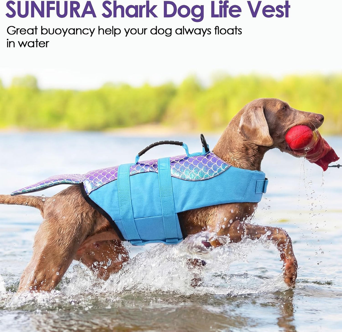 Dog Life Jacket - Shark Safety Vest for Swimming & Boating