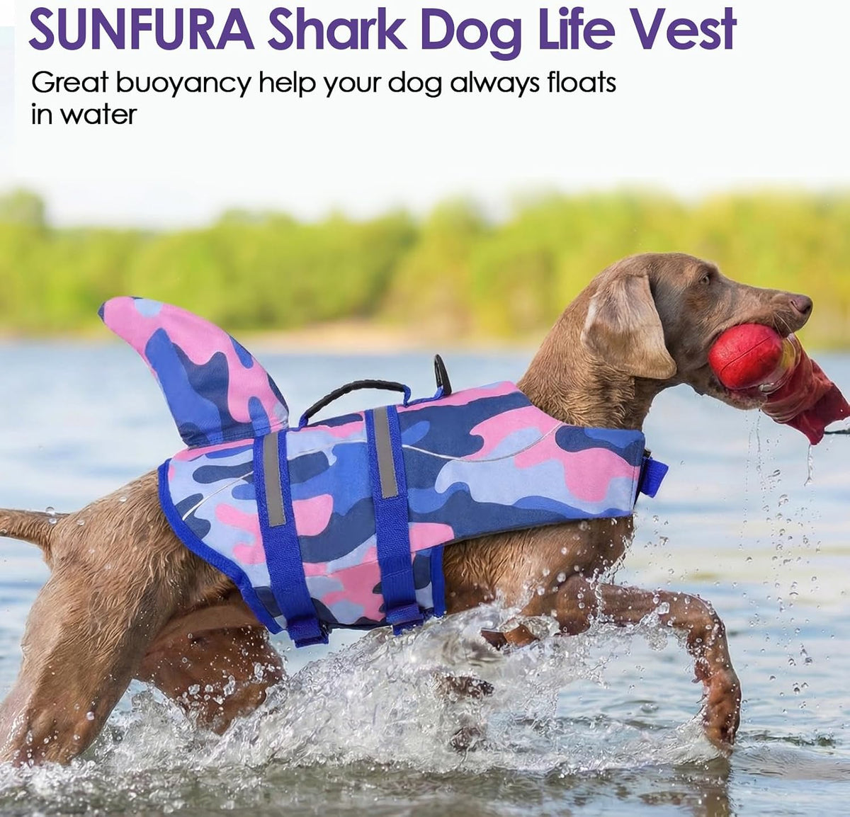 Dog Life Jacket - Shark Safety Vest for Swimming & Boating