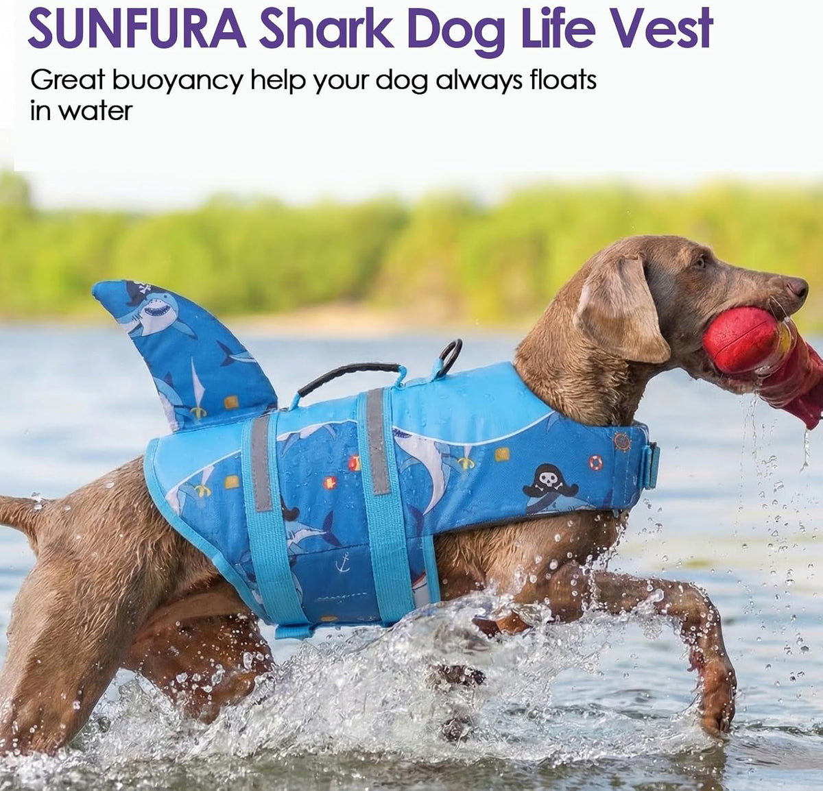 Dog Life Jacket - Shark Safety Vest for Swimming & Boating