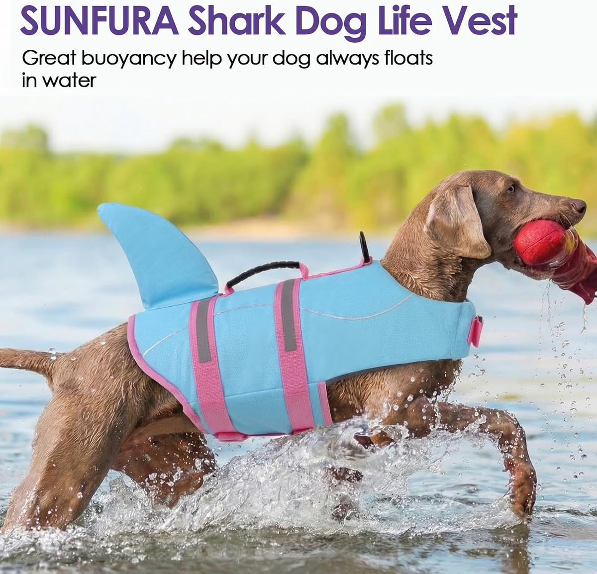 Dog Life Jacket - Shark Safety Vest for Swimming & Boating