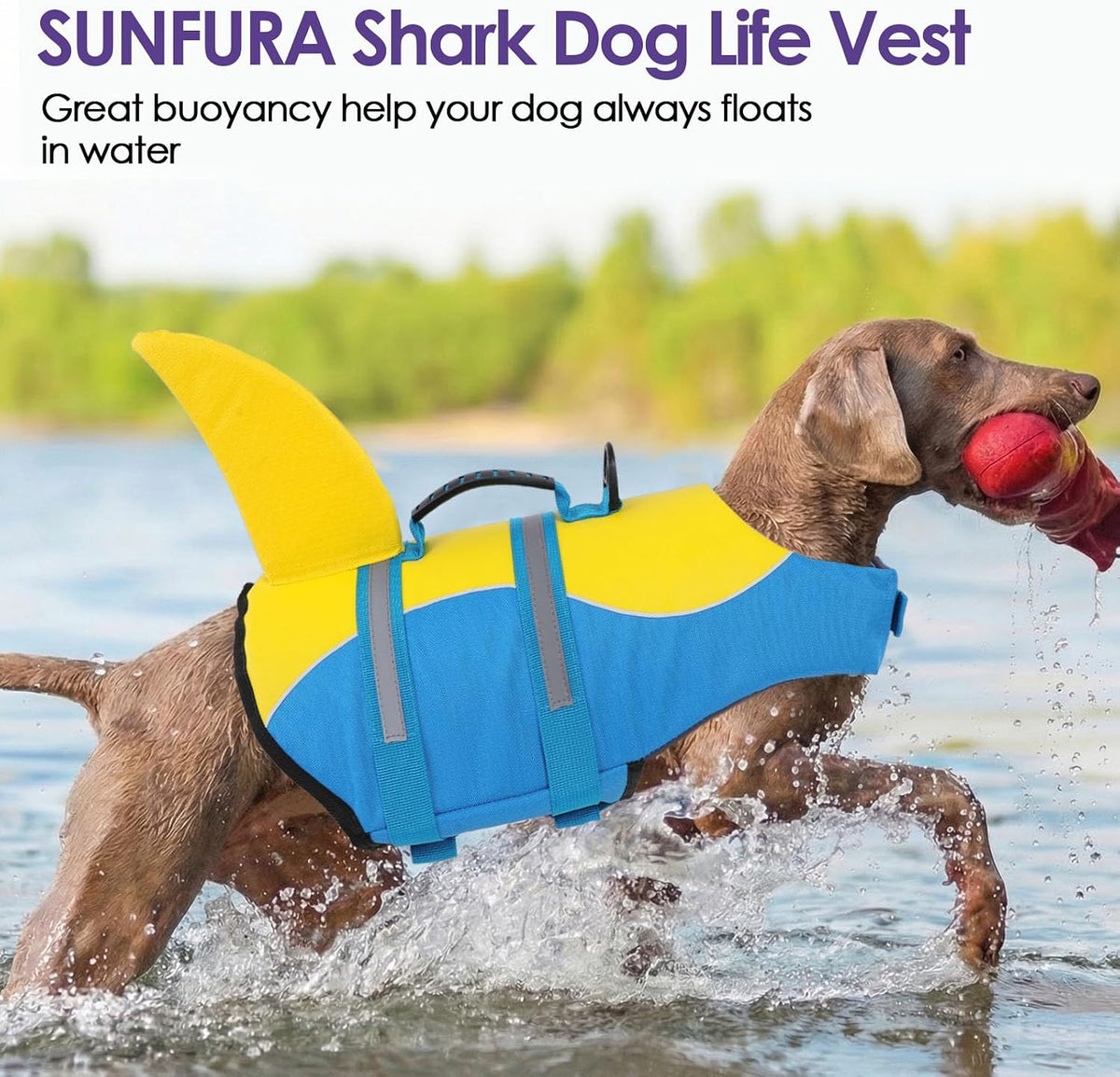 Dog Life Jacket - Shark Safety Vest for Swimming & Boating