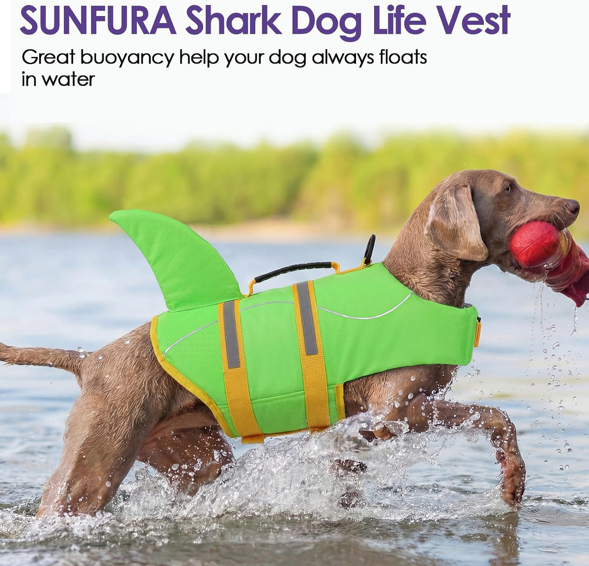 Dog Life Jacket - Shark Safety Vest for Swimming & Boating