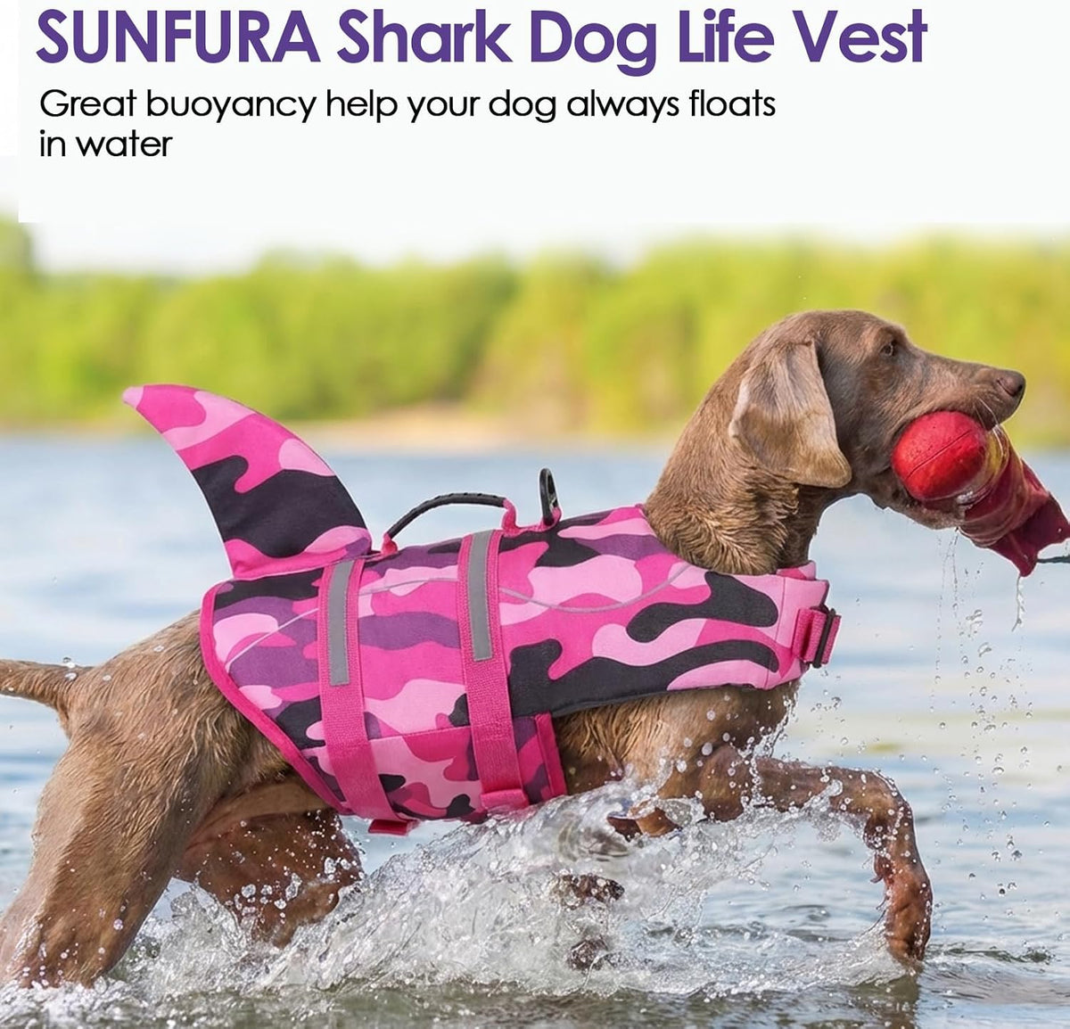 Dog Life Jacket - Shark Safety Vest for Swimming & Boating