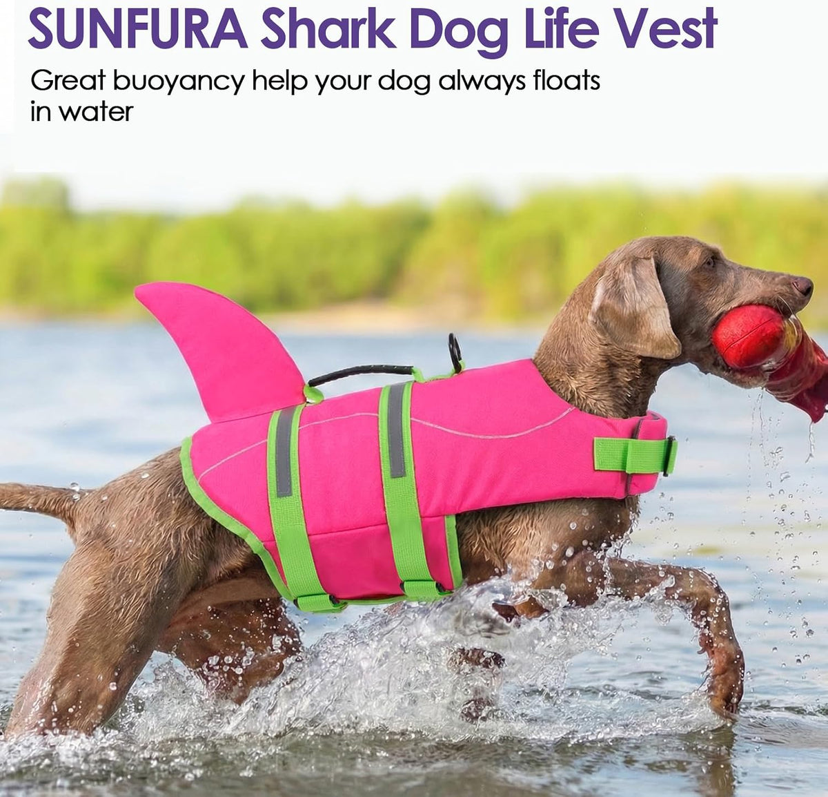 Dog Life Jacket - Shark Safety Vest for Swimming & Boating