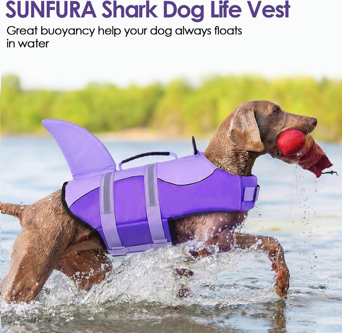 Dog Life Jacket - Shark Safety Vest for Swimming & Boating