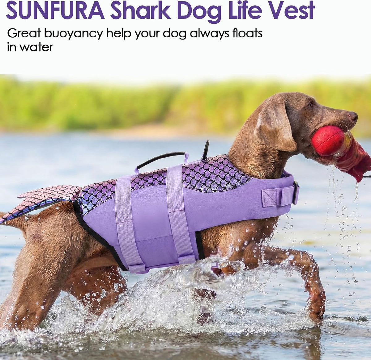 Dog Life Jacket - Shark Safety Vest for Swimming & Boating