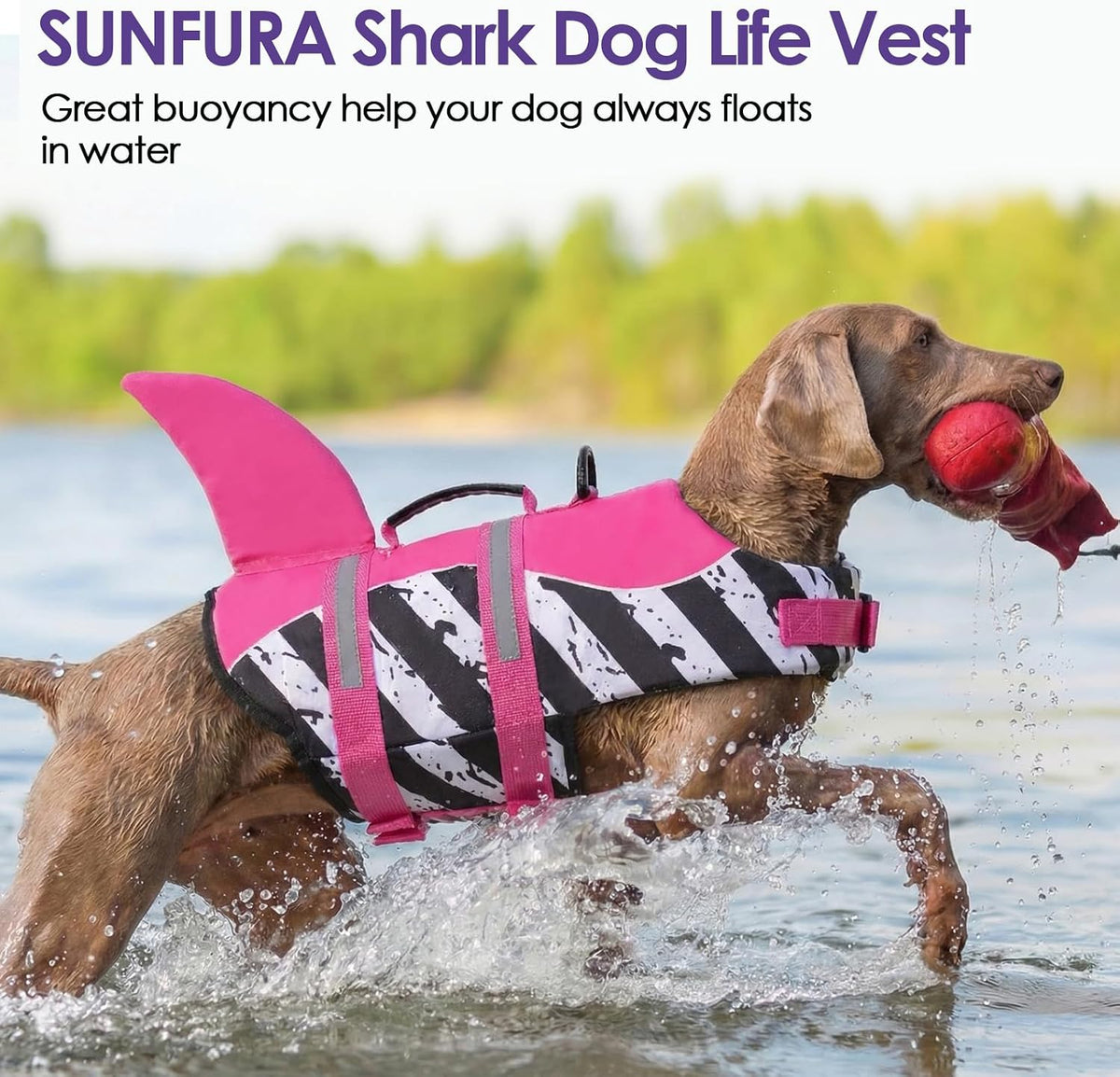 Dog Life Jacket - Shark Safety Vest for Swimming & Boating
