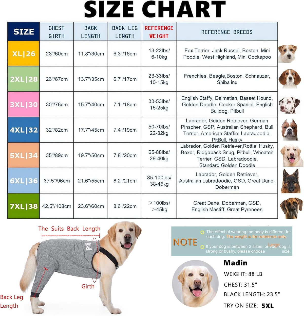 Dog Recovery Suit for Hid Leg, Soft Stretchy Pants for Hip Thigh Wound Protective Sleeves to Prevent Licking (Grey, 4XL(Reference Weight 50-70 lbs))