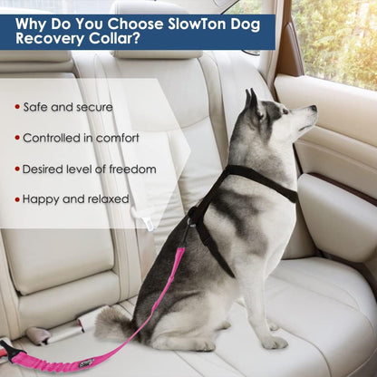 Dog Car Seat Belt, 3 in 1 Latch Bar Attachment Dog Safety Seatbelt | Hook Latch Bar& Seatbelt Buckle, Reflective, Heavy Duty Nylon, Durability, Easy of Use, for Travel Riding, Black, 27.5"