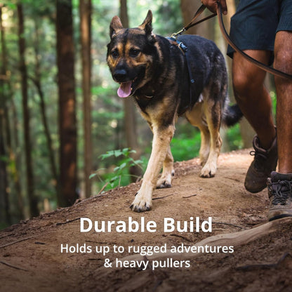 Ruffwear, Front Range Dog Chest Harness, Moonlight Mountains, Medium