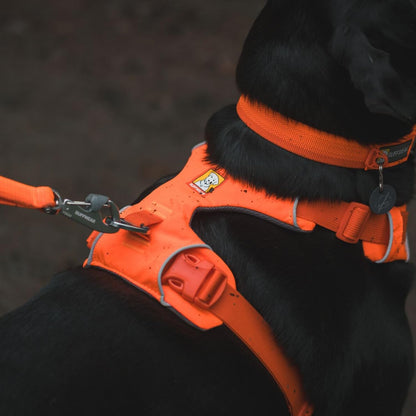 Ruffwear, Front Range Dog Chest Harness, Moonlight Mountains, Medium