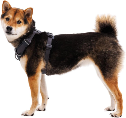 Ruffwear, Front Range Dog Chest Harness, Moonlight Mountains, Medium