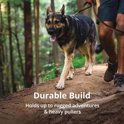 Ruffwear, Front Range Dog Chest Harness, Moonlight Mountains, Medium
