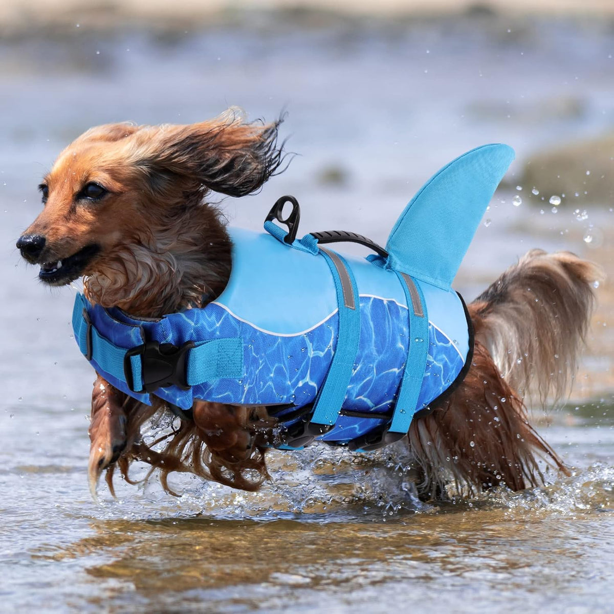 Dog Life Jacket, Cute Shark Dog Life Vest for Swimming & Boating