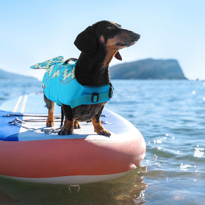Dog Life Jacket, Cute Shark Dog Life Vest for Swimming & Boating