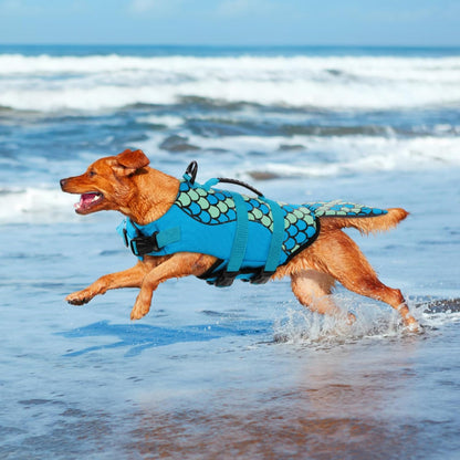 Dog Life Jacket, Cute Shark Dog Life Vest for Swimming & Boating