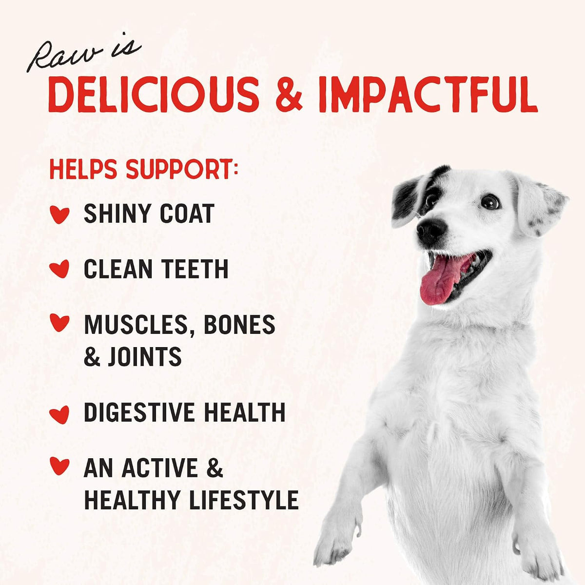 Freeze-Dried Raw Lamb Heart Dog Treats - Single Ingredient, No Additives - Premium Training Treats - Perfect For Picky Eaters - 3oz Bag