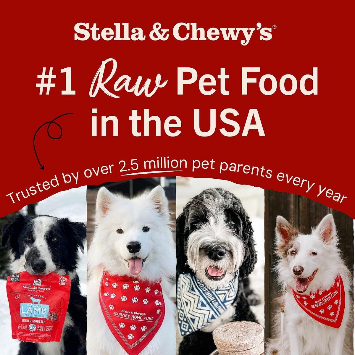 Freeze-Dried Raw Lamb Heart Dog Treats - Single Ingredient, No Additives - Premium Training Treats - Perfect For Picky Eaters - 3oz Bag