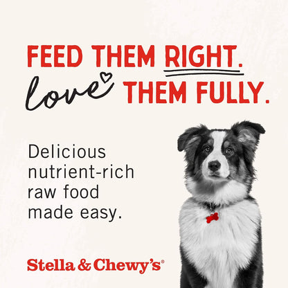 Freeze-Dried Raw Lamb Heart Dog Treats - Single Ingredient, No Additives - Premium Training Treats - Perfect For Picky Eaters - 3oz Bag