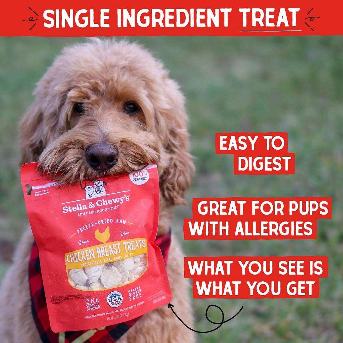Freeze-Dried Raw Lamb Heart Dog Treats - Single Ingredient, No Additives - Premium Training Treats - Perfect For Picky Eaters - 3oz Bag