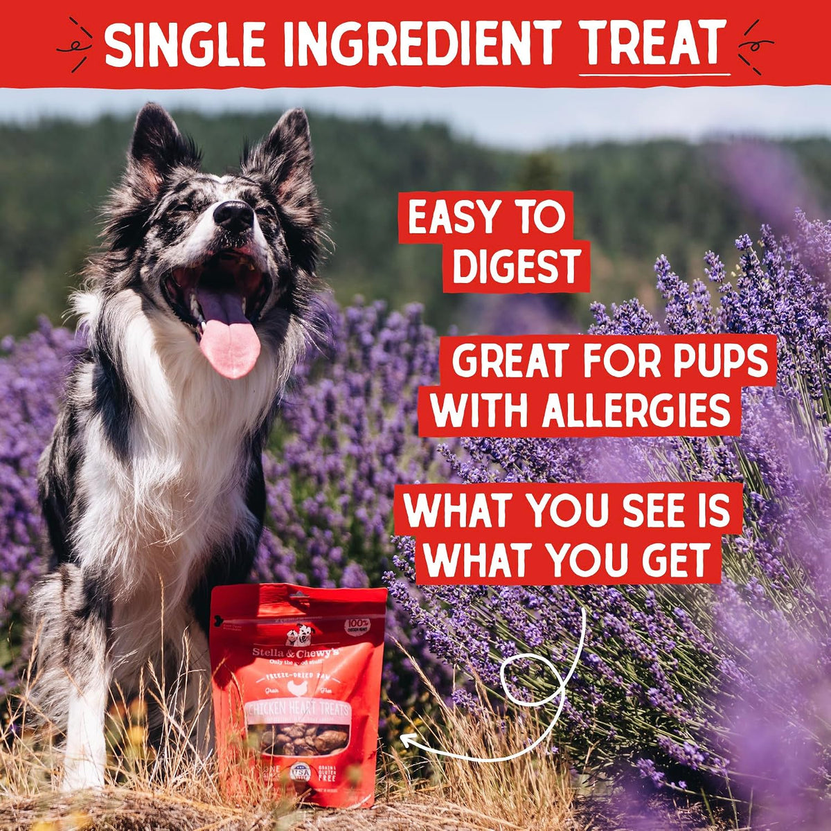 Freeze-Dried Raw Lamb Heart Dog Treats - Single Ingredient, No Additives - Premium Training Treats - Perfect For Picky Eaters - 3oz Bag