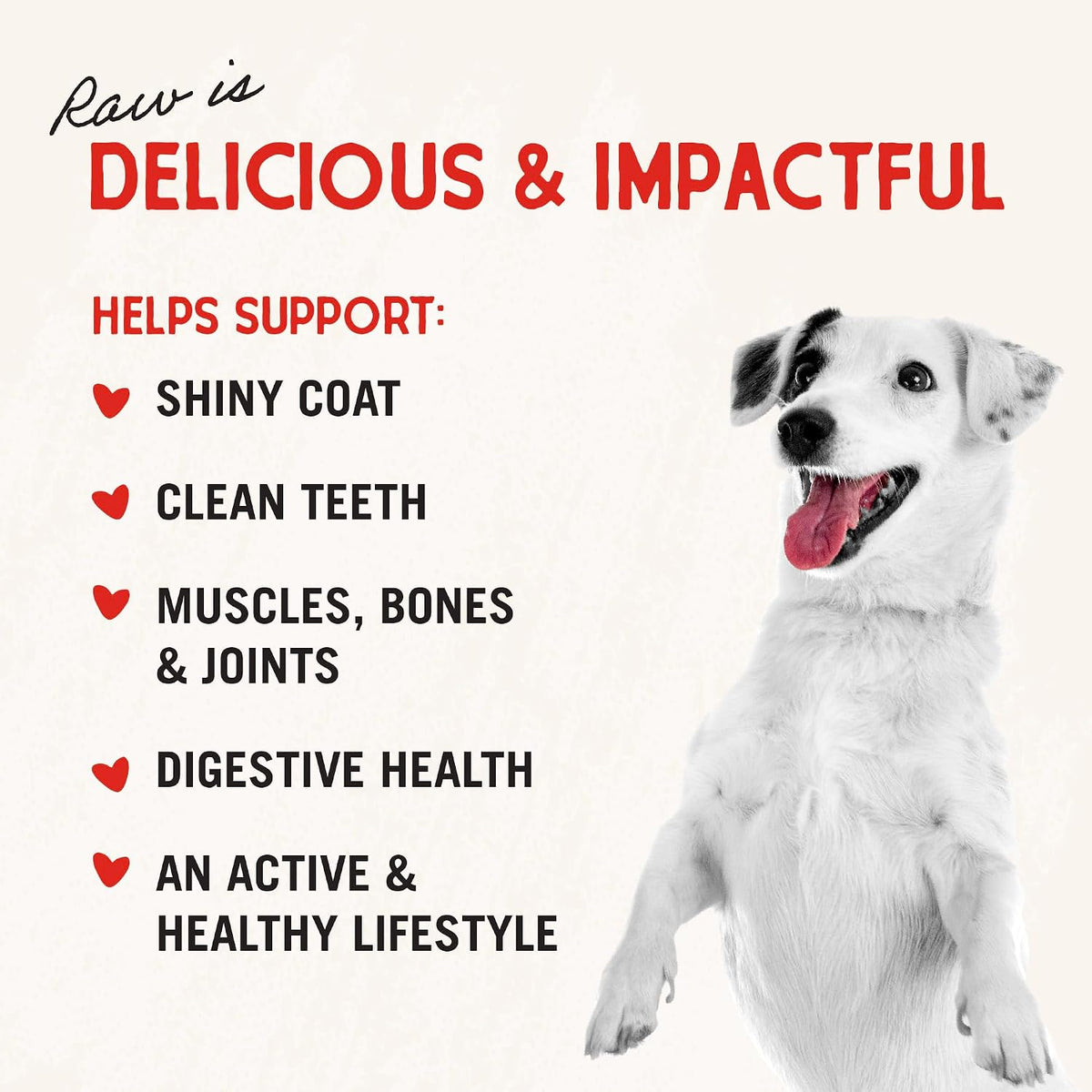 Freeze-Dried Raw Lamb Heart Dog Treats - Single Ingredient, No Additives - Premium Training Treats - Perfect For Picky Eaters - 3oz Bag