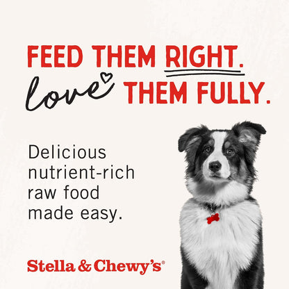 Freeze-Dried Raw Lamb Heart Dog Treats - Single Ingredient, No Additives - Premium Training Treats - Perfect For Picky Eaters - 3oz Bag